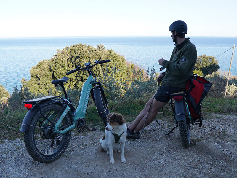 Pedal Assist Electric Bike