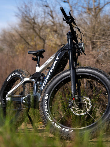 Ebikes with Removable Battery
