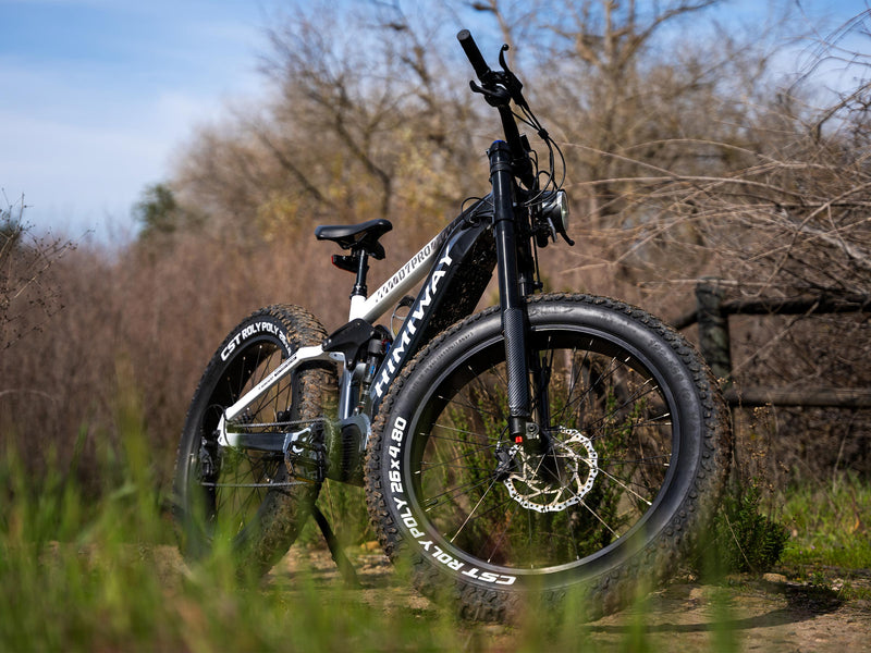 Lightweight Ebikes with Removable Battery