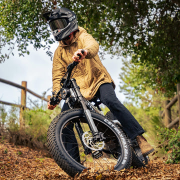 Hybrid Electric Bikes