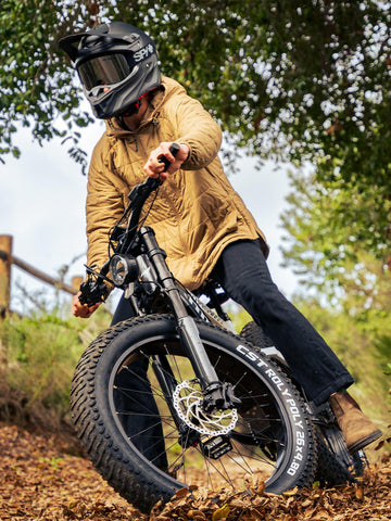 Hybrid eBike