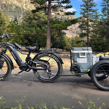 Best eBikes with Trailer