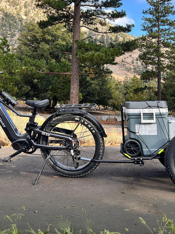 Best eBikes with Trailer