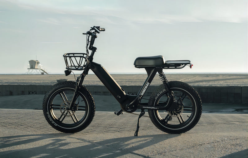 500 Watt Ebikes