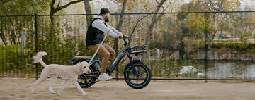 Cargo eBike