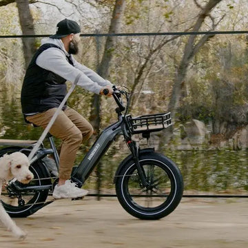 Cargo eBike -Himiway eBike