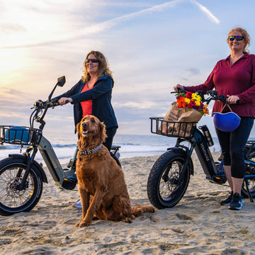Cruiser Ebikes