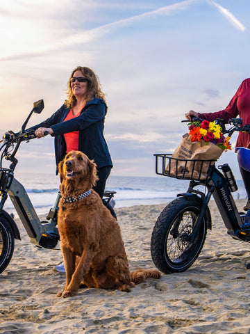 eBikes for Dog Owners