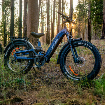 Most Comfortable eBikes