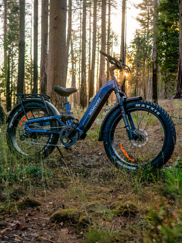 Most Comfortable eBikes