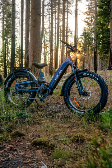 Most Comfortable eBikes