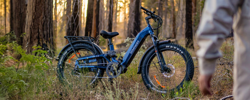 Best Step Through Electric Bikes for Seniors