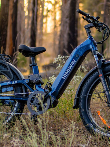 Electric Bikes For Seniors With Knee Issues