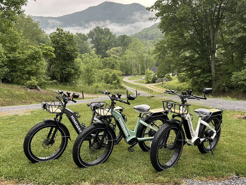 Best E-Bikes Under $1500