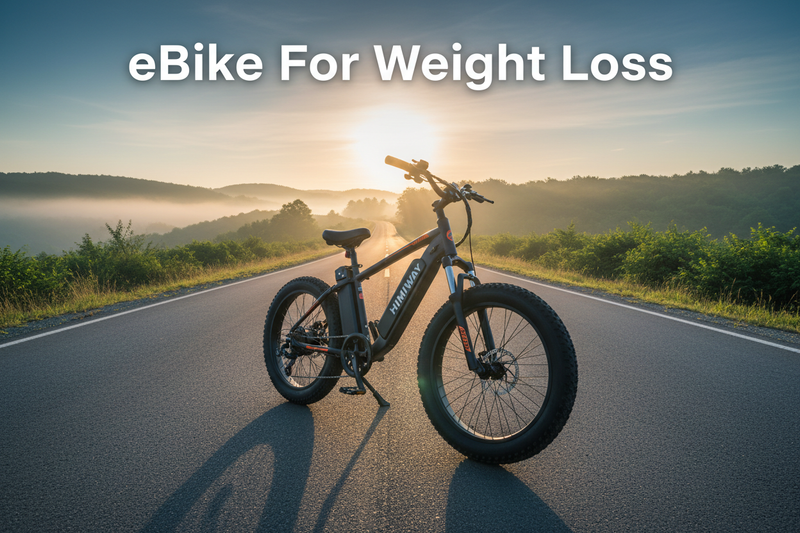 eBike For Weight Loss – Himiway D5 2.0 20"