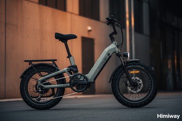 Lightweight Ebikes - D5 2.0 20"