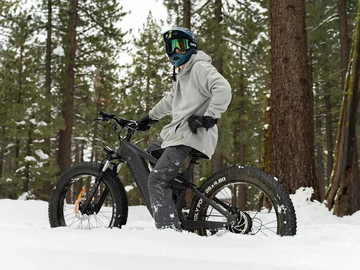 Himiway D7 (Cobra) ebike for hunting