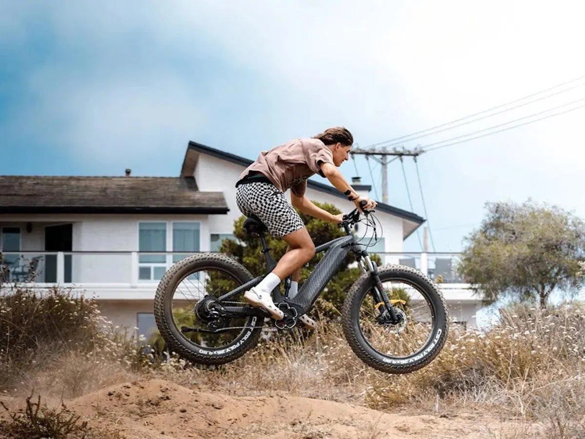 Himiway D7 (Cobra) | Full Suspension electric bicycle