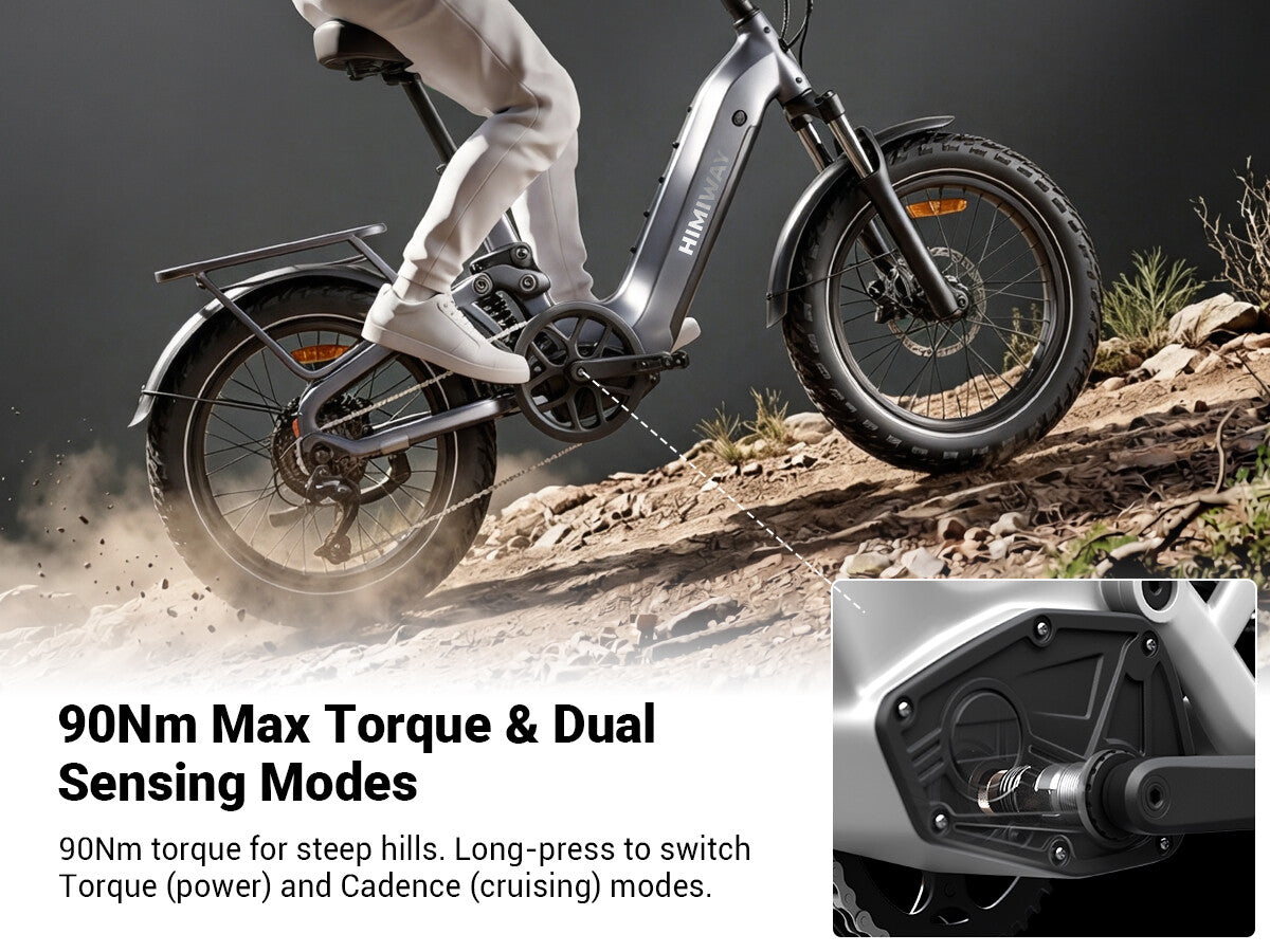 Himiway D5 2.0 Series eBike