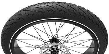 The CST 26"X4.5" Fat Tire