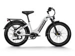 Premium All-terrain Electric Fat Bike Zebra ST/D5 ST