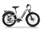 Himiway D5 ST (Zebra ST) | Premium All-terrain Electric Fat Bike -Himiway eBike
