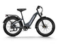 Himiway D5 ST (Zebra ST) | Premium All-terrain Electric Fat Bike -Himiway eBike