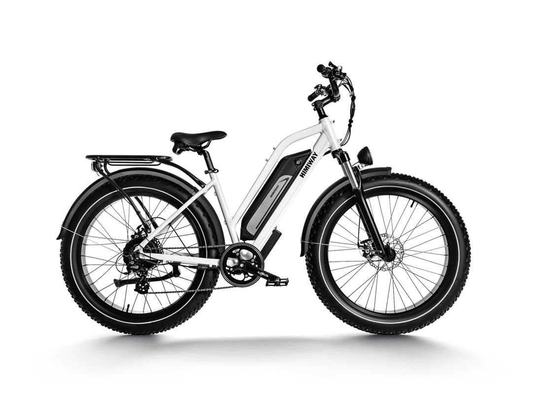 D3(Cruiser) / Long Range Fat Tire Electric Bike