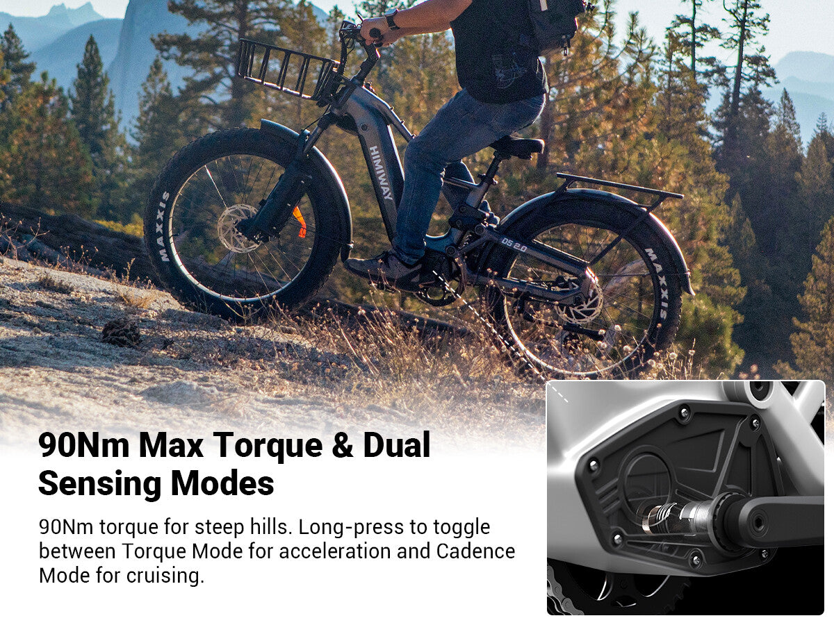 Himiway D5 2.0 Series eBike