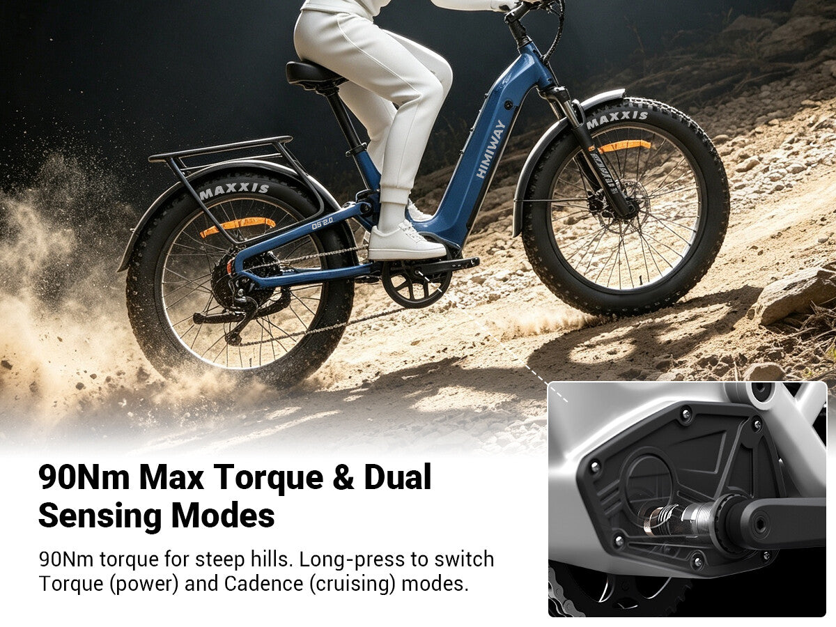 Himiway D5 2.0 Series eBike