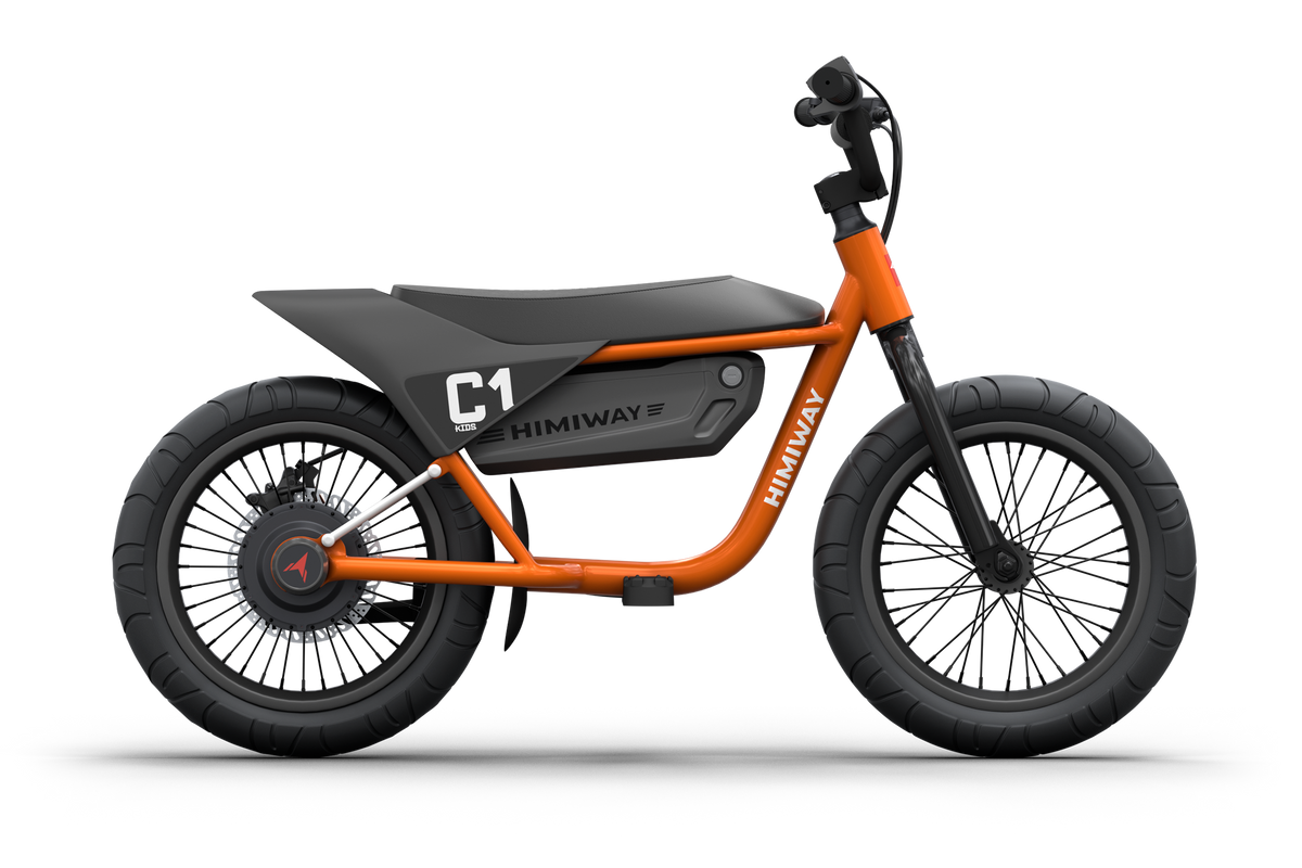 electric bike for 10 year old