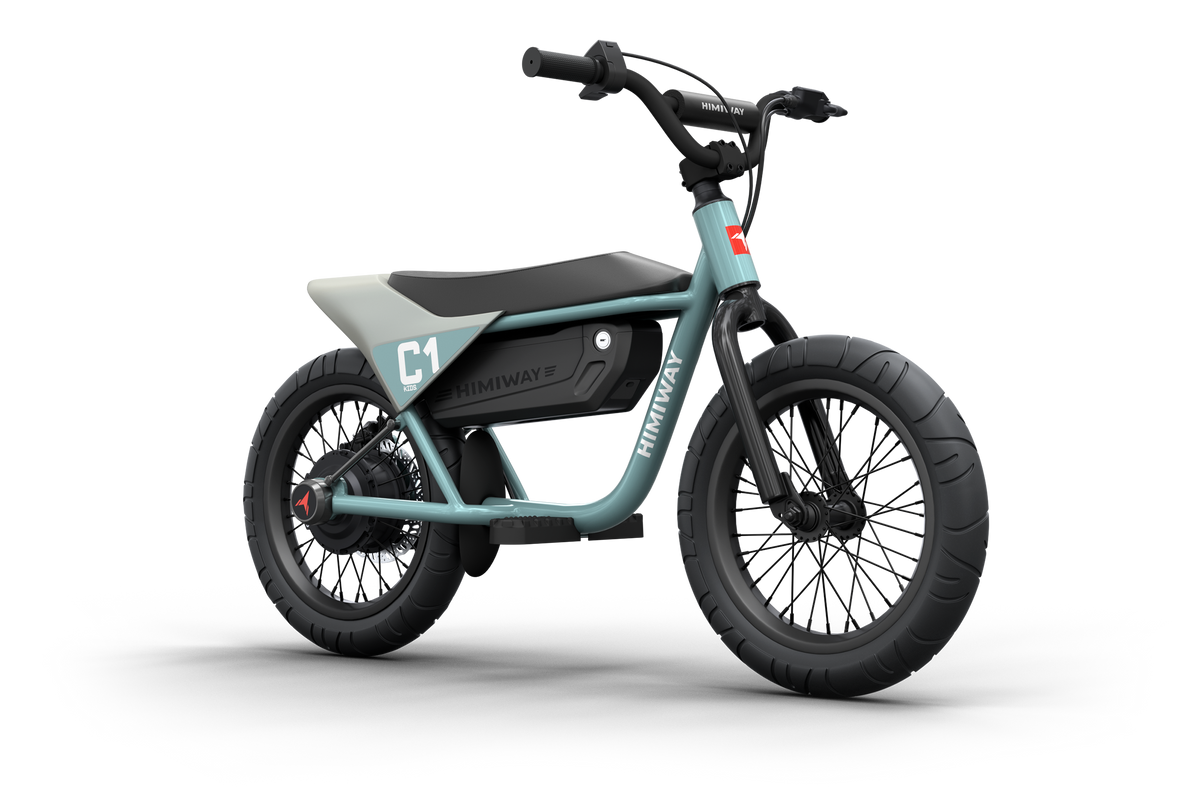 kids ebike for 8 year old boy