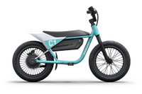 Himiway C1 Kids Electric Bike Bluish Gray