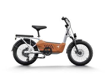 Himiway C3 | Lasten-E-Bike 