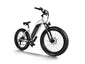 Himiway D3 ST (Cruiser ST) | All Terrain Step Thru Electric Bike -Himiway eBike