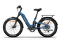 Himiway D5 2.0 ST eBike Midnight Blue– Front View