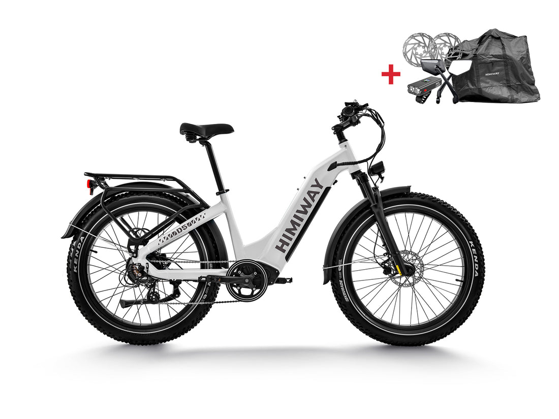 Himiway D5 (Zebra) | Hochwertiges elektrisches Fatbike für jedes Gelände