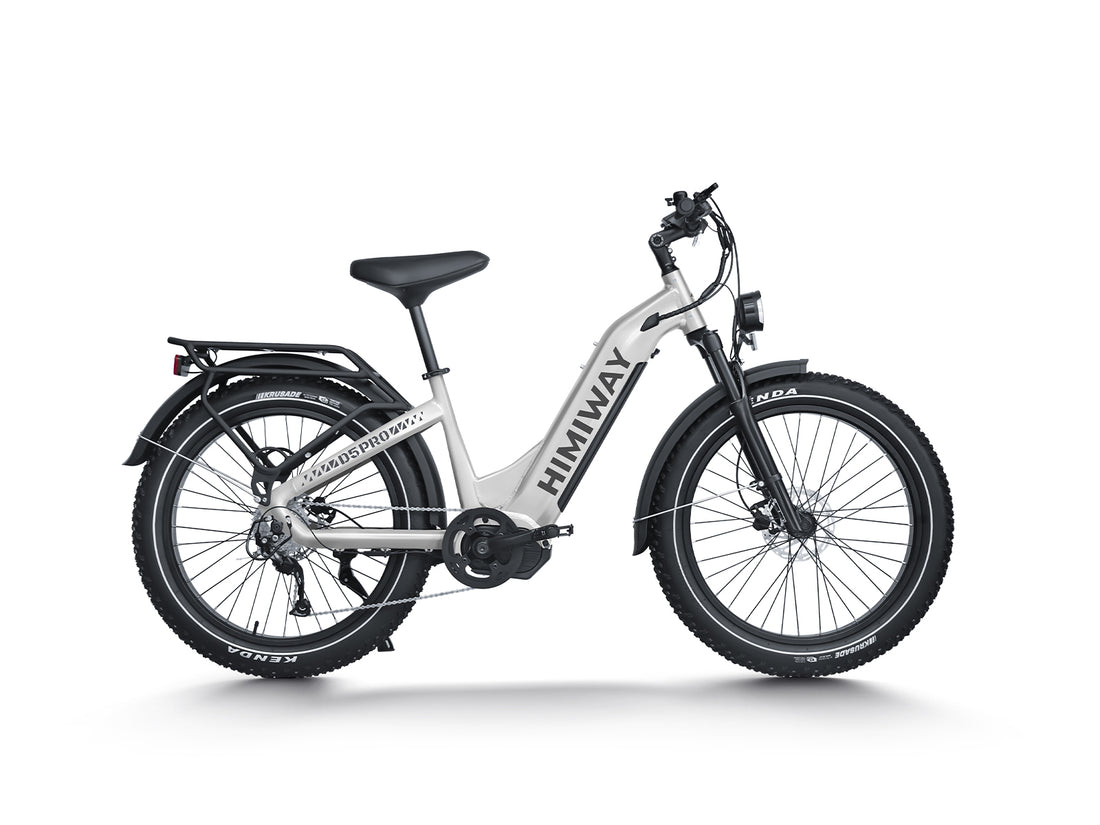 Premium All-terrain Electric Fat Bike Zebra ST/D5 ST