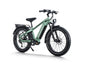 Himiway D5 Pro | Premium All-terrain Electric Fat Bike -Himiway eBike