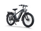 Himiway D5 Pro | Premium All-terrain Electric Fat Bike -Himiway eBike