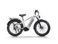 Himiway D5 Pro | Premium All-terrain Electric Fat Bike -Himiway eBike