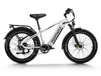 Himiway D5 (Zebra) | Premium All-terrain Electric Fat Bike -Himiway e bike