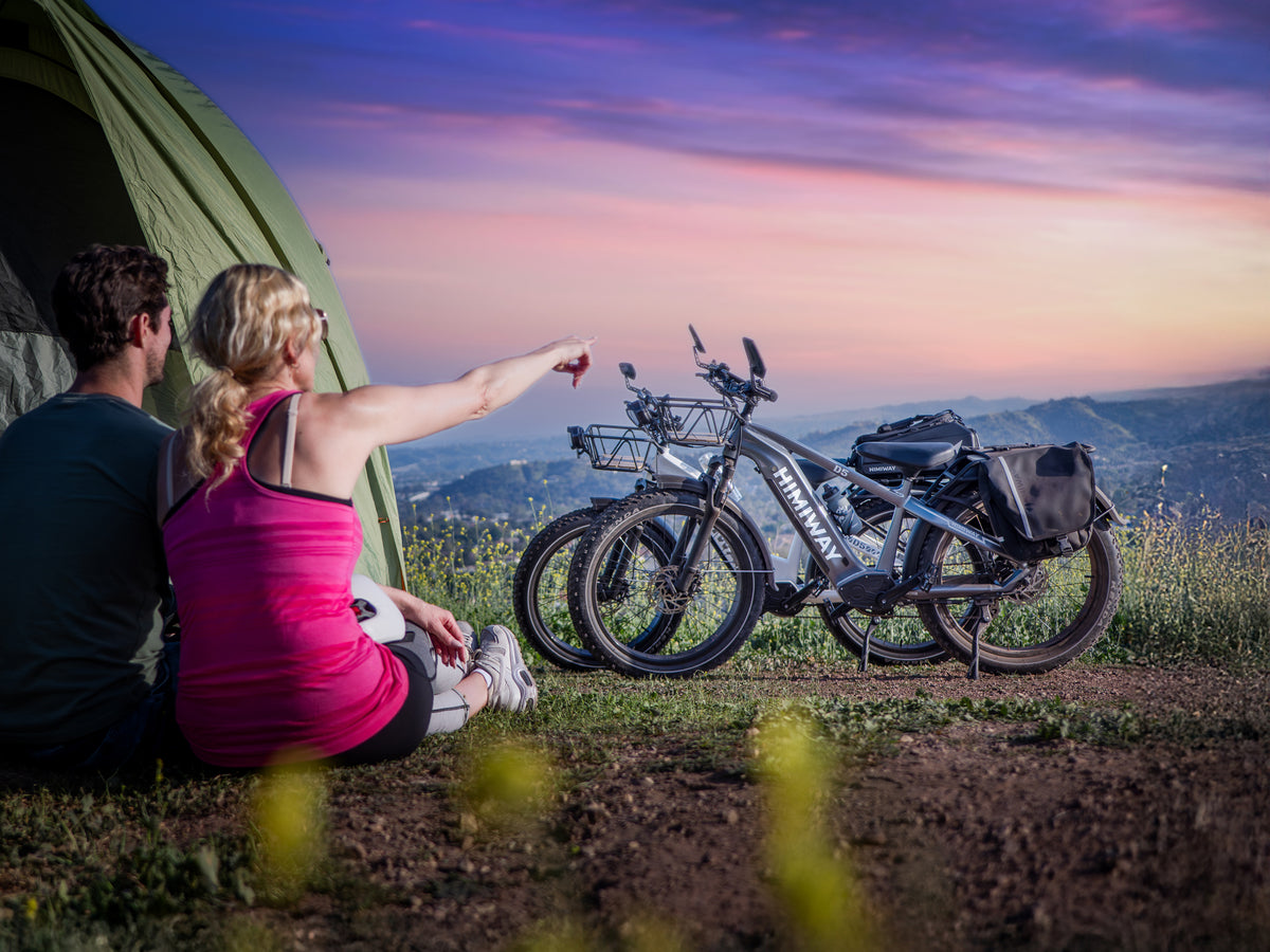 D5 ST(Zebra ST) / All-terrain eBike