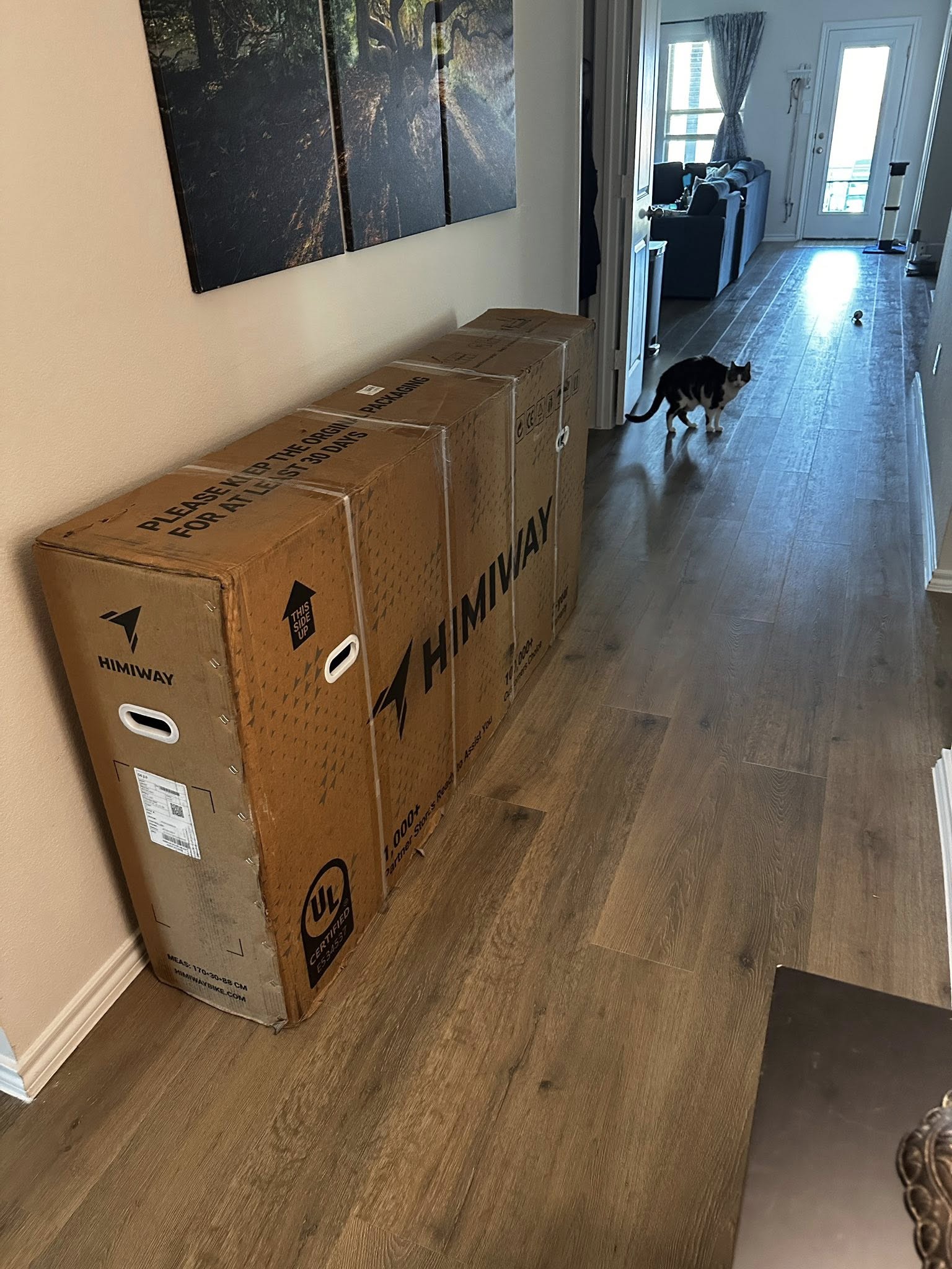 Assembled Last Night, Riding Today!