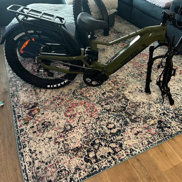 Assembled Last Night, Riding Today!