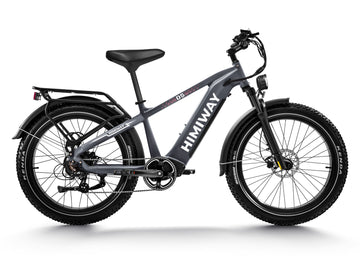 Himiway D5 (Zebra) | Premium All-terrain Electric Fat Bike