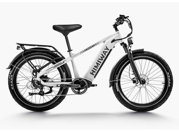 Premium All-terrain Electric Fat Bike Zebra/D5