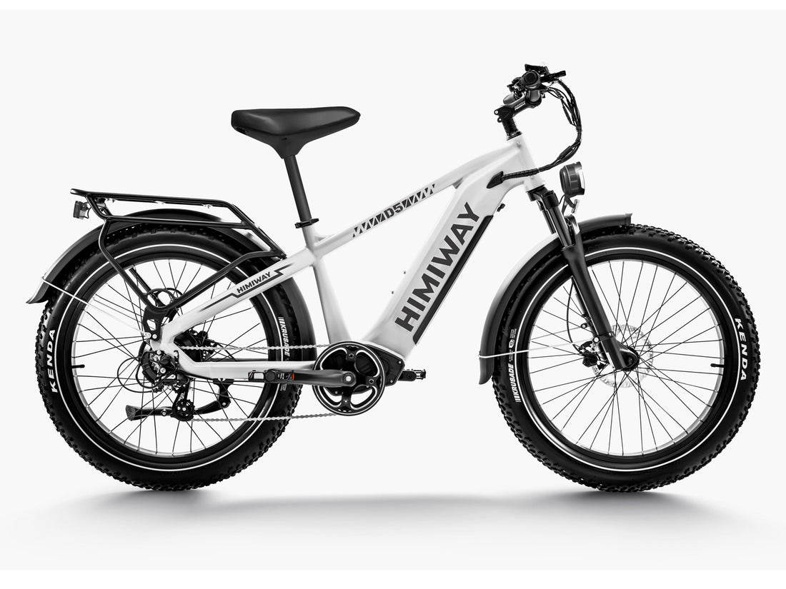 Himiway D5 (Zebra) | Premium All-terrain Electric Fat Bike