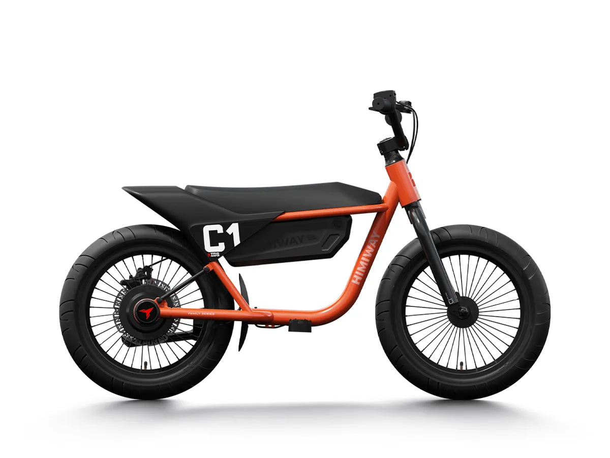 Best electric bikes for kids online