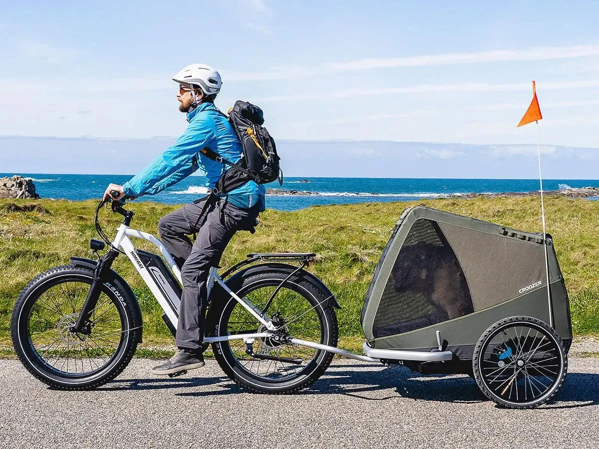 himiway cruiser all terrain elektrofahrrad D3 ST(Cruiser ST) / All Terrain Electric Bike